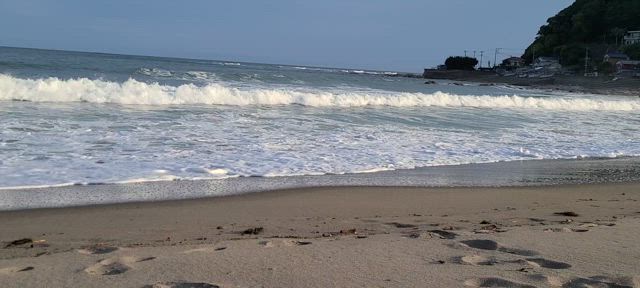 初夏の南房総鉄旅②小湊鐵道と安房の民宿の記事動画