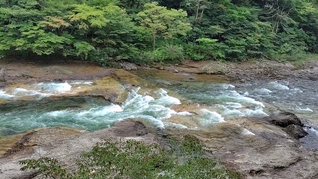 暑いけど涼しかった　新潟県の記事動画