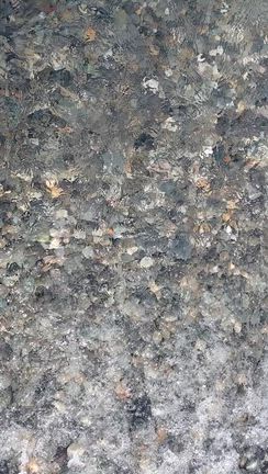 【家族旅】福島編⑤の記事動画