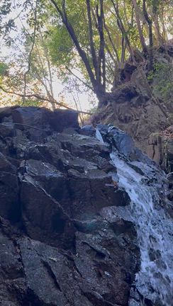 おおさか堺バルーン！大仙公園（だいせんこうえん）＆山さんぽの記事動画