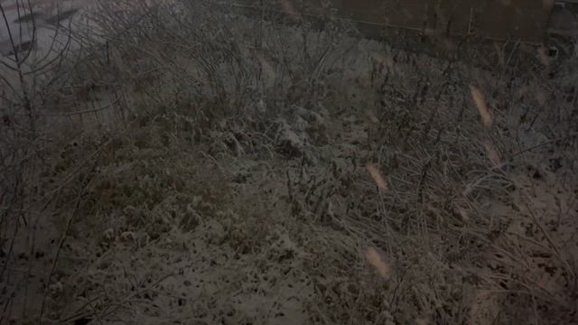 夢のような世界（時間）から…の記事動画