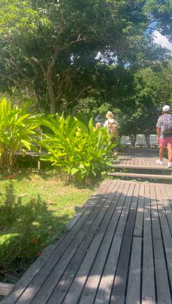 アマゾン到着とアヤワスカへの準備の記事動画