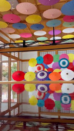 大人気♪秋のバスツアーに行ってきました！①宝徳寺の床紅葉の記事動画