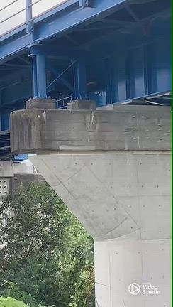 ちょこっと猫部　伊豆の国市仔猫レスキューの記事動画