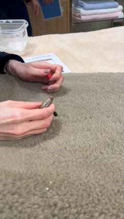 総額130万超えのお買い物の記事動画