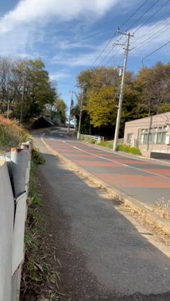 コメントありがとう！！！の記事動画