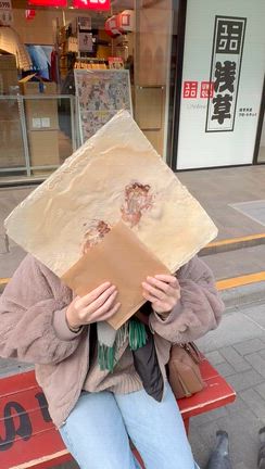 名古屋 VS 東京のハト！民度の違い　の記事動画