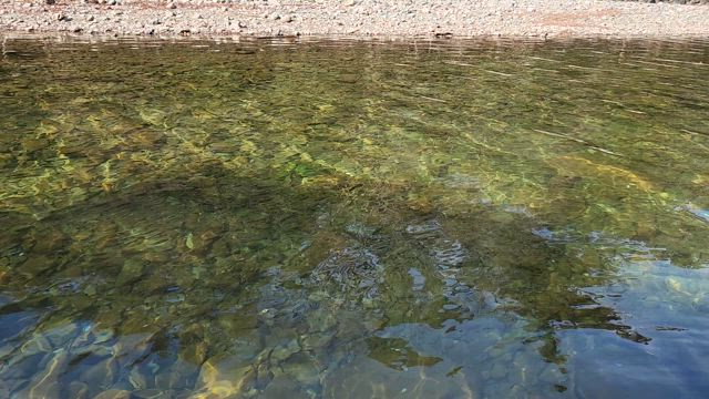 伊勢神宮へお参りの記事動画