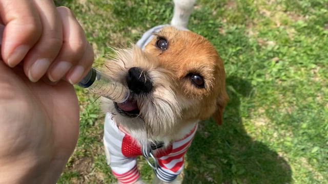 気ままにうじゃっく楽しかったっす！の記事動画