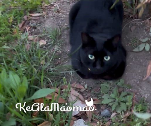 ホームページをリニューアルの記事動画