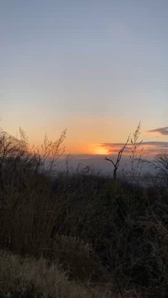 あけましておめでとうございますの記事動画