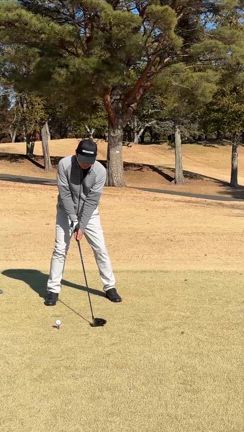 東京広島県人会の記事動画