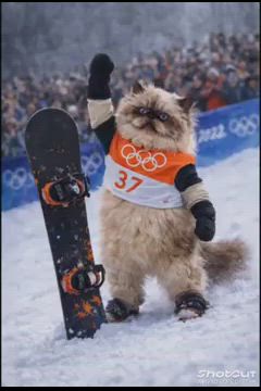 ニャンニャンピックの記事動画