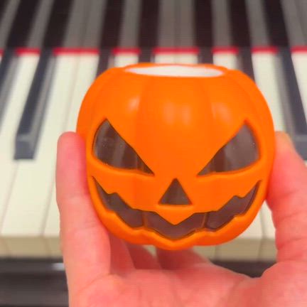 【ピアノ・レッスン】見つけました！の記事動画