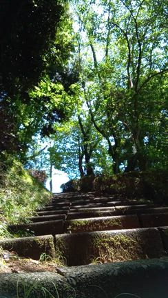 阪神。とらっきちさん。階段トレで肩こり解消！の記事動画