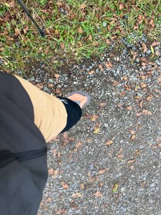 フランスの道からサンチャゴ巡礼路まさかの145年ぶりハリケーン3個→PARIS→バルセロナ旅④の記事動画