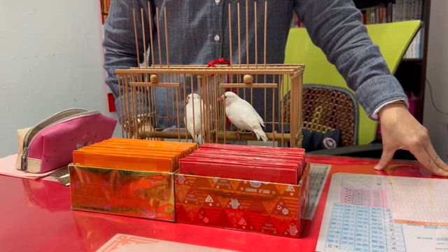 興味しんしんの記事動画