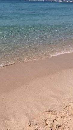 高熱の件の記事動画