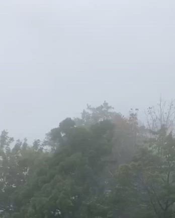 1年ぶりのお山の記事動画