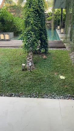 やっとマレーシア。の記事動画