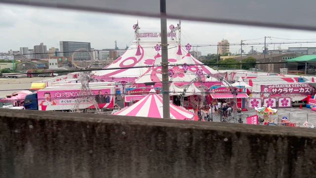 さくらサーカス！！の記事動画