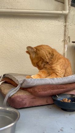 ◆なんか疲れちゃったの記事動画