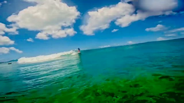 Be Hawai'ian 195の記事動画