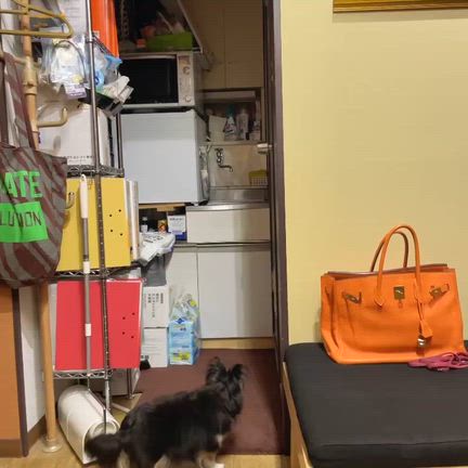 姿は見えないけどルルたんは心の中にの記事動画