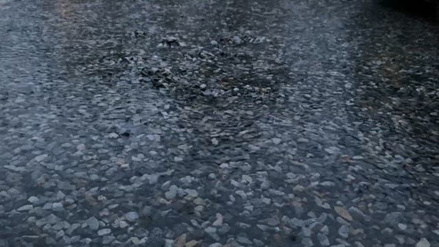 雨樋の音と溜まり☆彡2025/08/10の記事動画