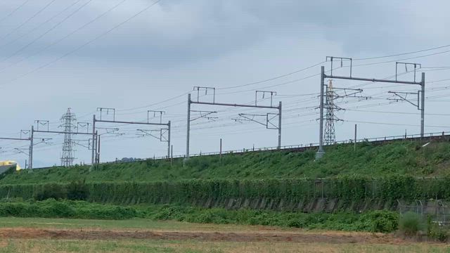 幸せのお裾分け♡の記事動画