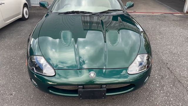 5月28日…。の記事動画