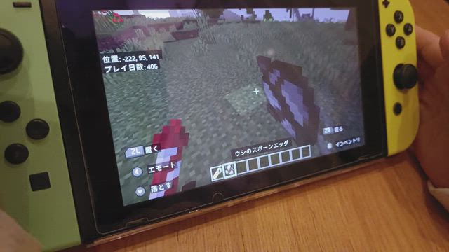 【まさかの集中力❢】あっくんの英語とプログラミング勉強方の記事動画