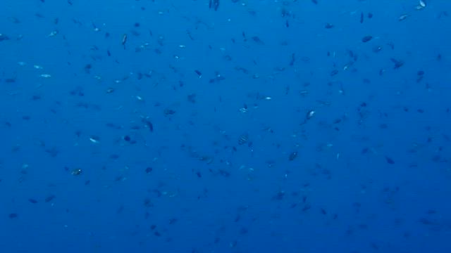 2025.9/6佐渡島③の記事動画