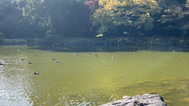 PARK STAND TOKYO 清澄白河の記事動画