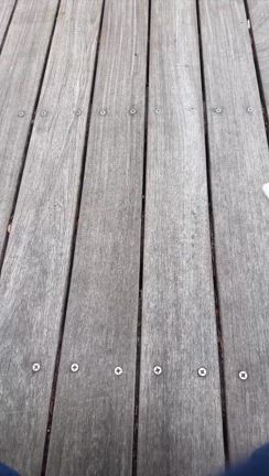 四十肩、再びの記事動画