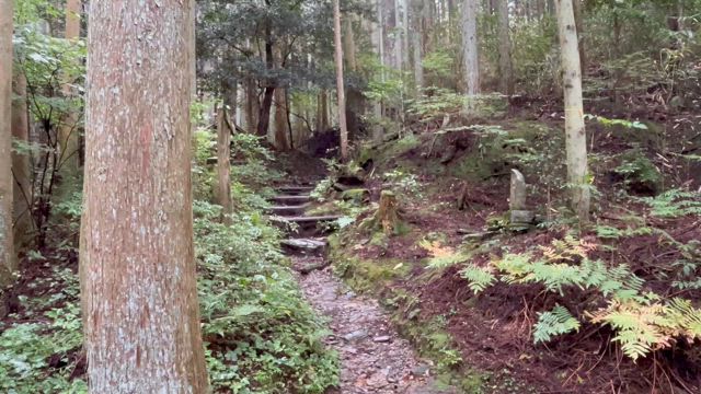 四国歩き遍路　区切り打ち7回目 :3日目　雨の『星ガ森』の記事動画