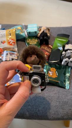 名古屋で買ったもの、いただいたものの記事動画