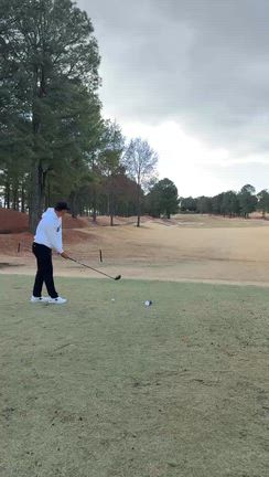 遠藤章造VSゴルフの記事動画