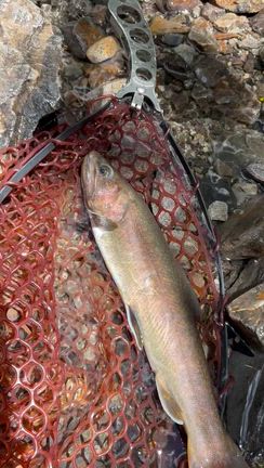 #10  釣行記の記事動画