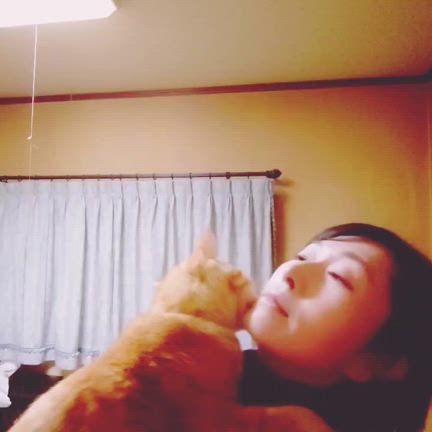 稲荷祭。の記事動画