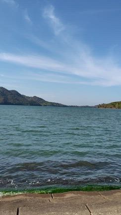 最近、気になるものの記事動画