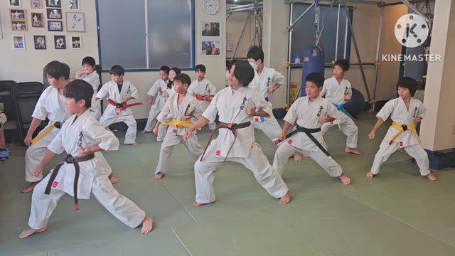 【空手】神経を鍛える型稽古【極真館】浦和、東浦和、柳崎、北園町の空手道場の記事動画