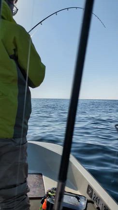 1月備忘録の記事動画