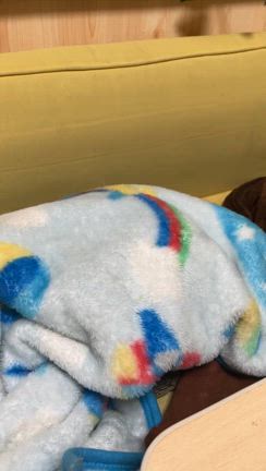 忍法隠れ蓑の術を習得したコテピ=(^.^)=の記事動画