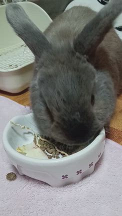 ビビりすぎましたの記事動画