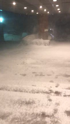 大寒波猛吹雪に遭遇の帰京の記事動画