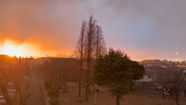 やっぱり栄養管理が大事なのかもの記事動画