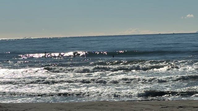 今日の鵠沼海岸　波情報の記事動画