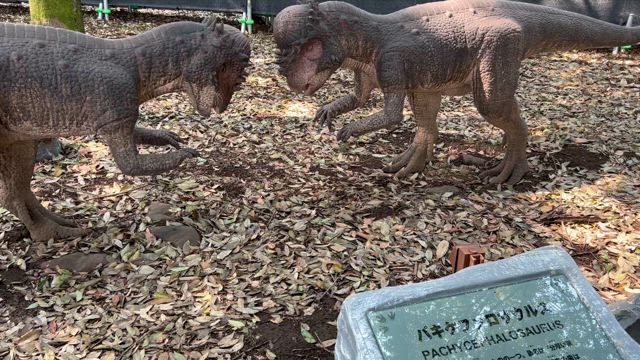 大恐竜パーク in とちぎわんぱく公園の記事動画