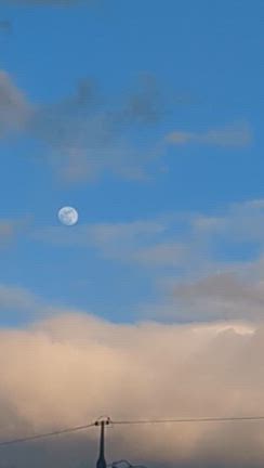 頭から決め付けない理由の記事動画